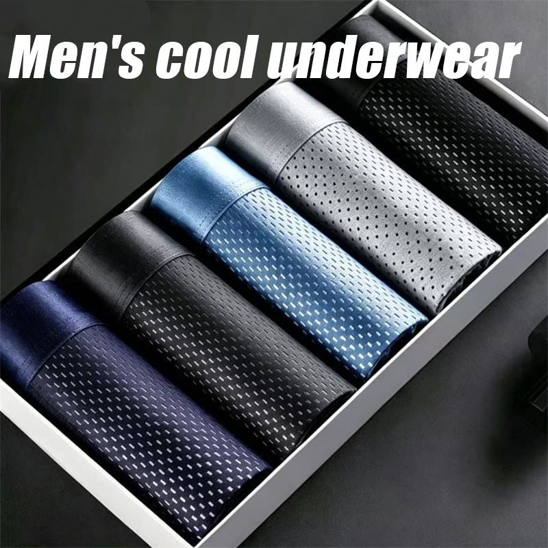 Boxer Shorts Modal - 5Pcs/Lot Men's Panties Ice Silk Mesh
