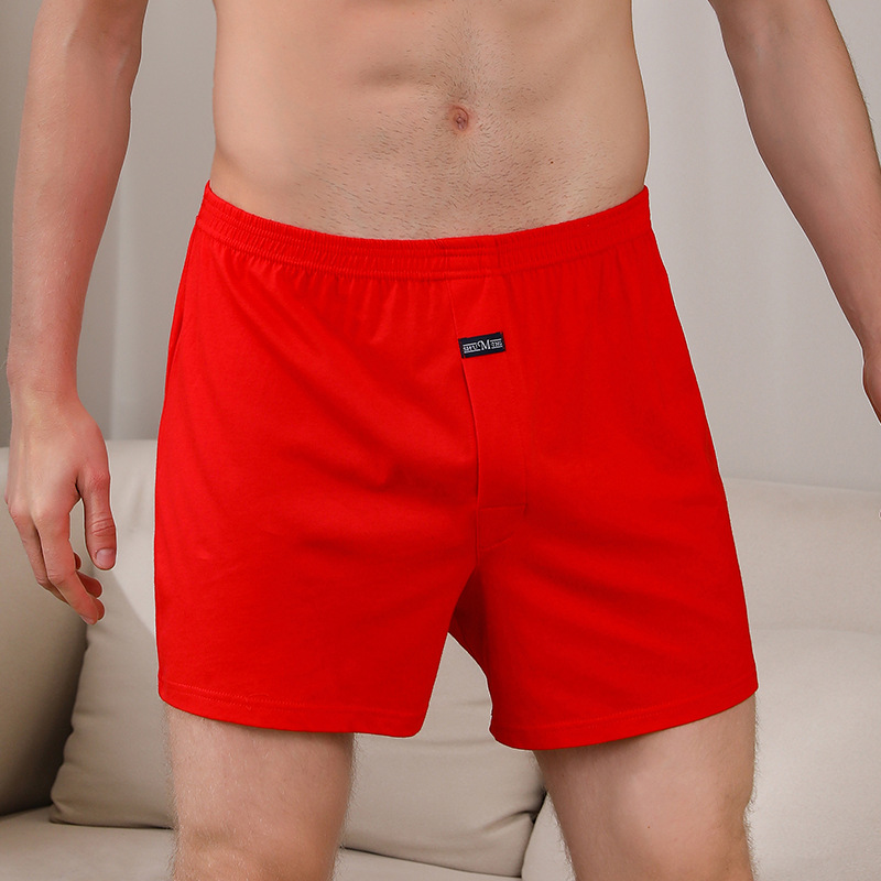1PCS Men's Underwear Aro Pants - Boxer Brief Pack Cotton 리뷰 및 가격